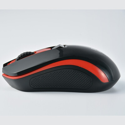 

Ruiding Wireless Mouse C500