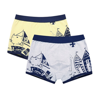 

2pcs Boys Panties Kids Casual Baby Cotton Underwears Childrens Cartoon Printing Underpants Kids Boxer 3-14Y