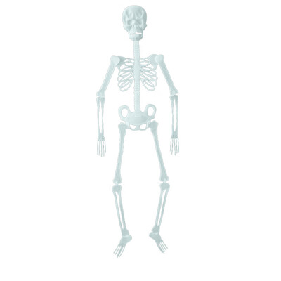 

JPGIF Halloween Props Luminous Human Skeleton Hanging Decoration Outdoor Party US
