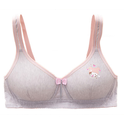 

Super Cute Girls Bra Small Breast Push Up Bra Sexy Lingerie Underwear Women Seamless Wireless Cotton Bras for Women