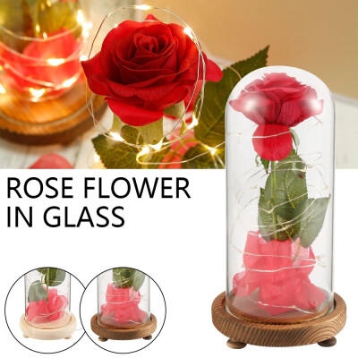 

Romantic Eternal Rose Led Light with Glass Cover Wooden Base Preserved Flowers Women Girls Gifts