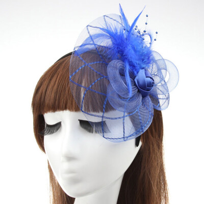 

Women Feather Headwear Fascinator Hair Clip Mesh Wedding Birdcage Hat Part