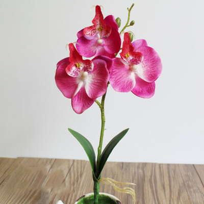 

2Pcs Home Mini Moth Orchids Triple Head Phalaenopsis Artificial Butterfly Orchid Silk Flower Home Wedding Decoration