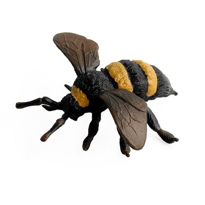 

Tailored Simulation Insect Animal Display Sand Table Scene Science Educated Cognition Toy