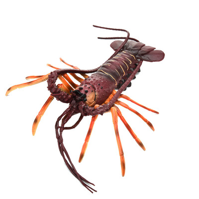 

〖Follure〗Simulation Model Of LobsterKids Early Education Play ToyKitchen Decoration