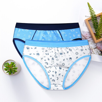 

Baby 2Pieceslot Panties Children 100 Cotton Underwear Boys Suits Clothes Child Clothing