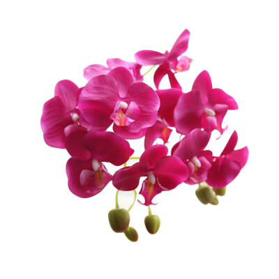 

Gobestart Wedding Colorful Artificial Fake Silk Flower Phalaenopsis Orchid Decor