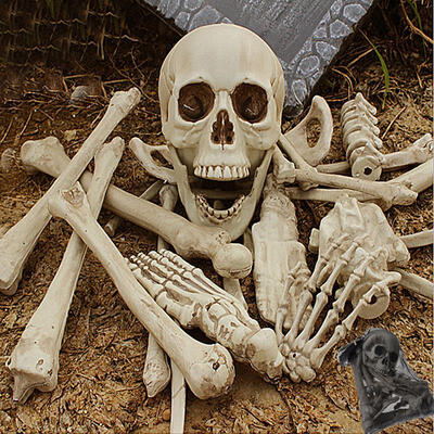 

28 pcs Haunted Home Props Broken Bone Skull Insult Horror for Halloween Party Haunted Room Escape Artificial Human Skeletons New