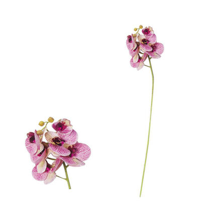 

3D High imitation Artificial Moth Orchid Artificial Green Plant Leaves for Home Party Decor Flower Arrangement Supplies