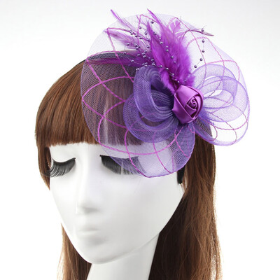 

Women Feather Headwear Fascinator Hair Clip Mesh Wedding Birdcage Hat Part