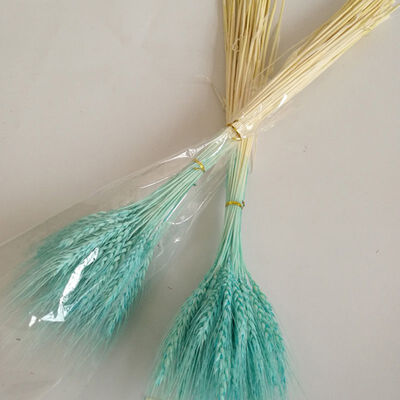 

50 PCS Wheat Ears Artificial Plants For Home Decorations Festive Supplies For Milk Tea Shop