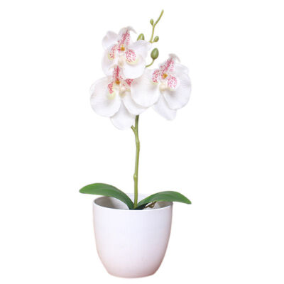 

1PCS Mini Phalaenopsis Potted Artificial Flower For Home Decoration Party Supplies