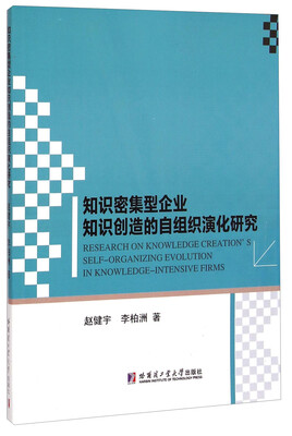 

知识密集型企业知识创造的自组织演化研究