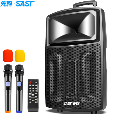 

SAST ST-1701W 12 Inch Portable Outdoor Outdoor Rod Active Power High Power Battery Card Dual Microphone Square Dance Speaker Black