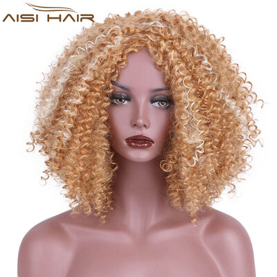 

AISI AISI HAIR Afro Kinky Curly Long Hair Synthetic Wigs for Black Women Long Mixed Color High Temperature
