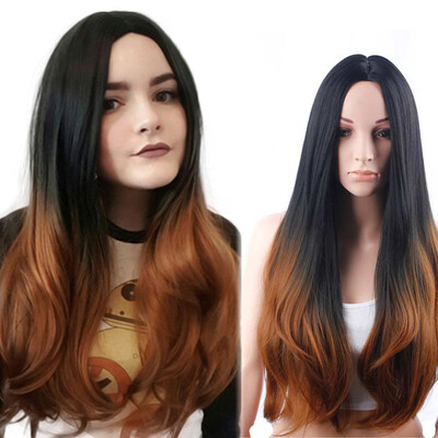 

AISI HAIR Long Hairstyles For Women 30'' Brown Ombre Wig Synthetic Hair 5 Colors Available