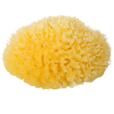 

OKBABY Italy imported baby bath sponge archipelago Mediterranean natural baby bath sponge 12