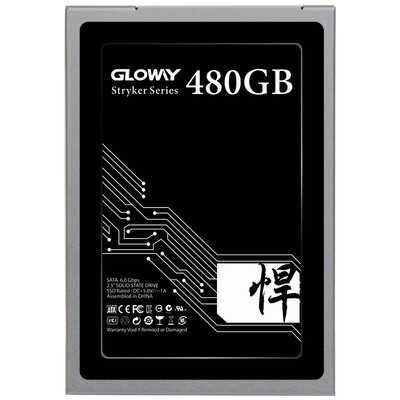

Gloway 480 480G SSD