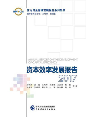 

资本效率发展报告2017
