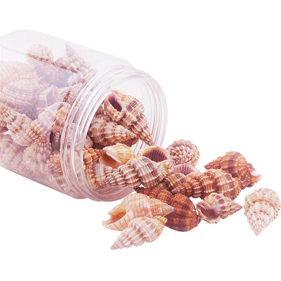 

PH PANDAHALL 50 pcs Dyed Spiral Seashell Shell Beads Charms with Holes for Jewellery Making