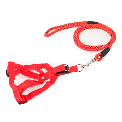 

HANHANLEYUAN dog chain dog rope small dog medium dog dog leash rope pet dog leash dog hyena rope golden hair Teddy dog chain fine line round rope red L