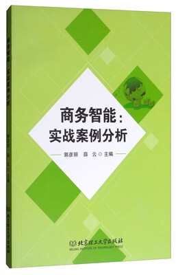 

商务智能实战案例分析