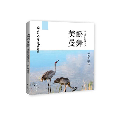 

美鹤曼舞　沙丘鹤的爱情表达