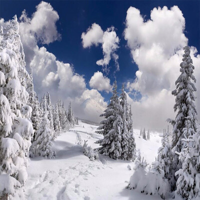 

3D Wallpaper Winter Snow Landscape Photo Mural Hotel Living Room TV Sofa Backdrop Wall Mural Modern Nature Non-Woven Wallpaper