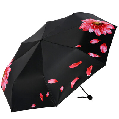 

Paradise umbrella vinyl UPF50 proudly daisy 30 sun umbrella umbrella 31837E outside the flower