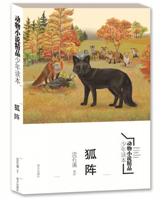 

动物小说精品少年读本 狐阵