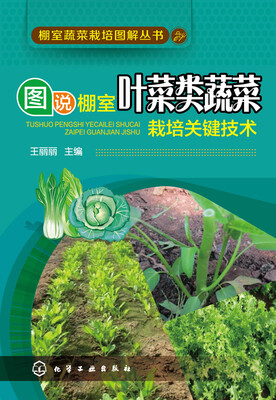 

棚室蔬菜栽培图解丛书 图说棚室叶菜类蔬菜栽培关键技术