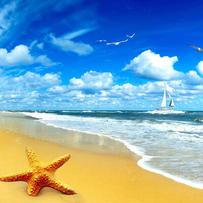 

Пользовательские Beach Scenery Starfish Blue Sky 3D фото фона Компьютер печатной гостиной телевизор фотографии фоном росписи обои