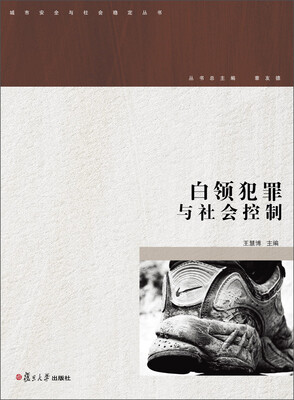 

城市安全与社会稳定丛书：白领犯罪与社会控制