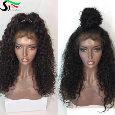 

9A Natural Hairline Curly Lace Front Wig With Baby Hair Peruvian Virgin Human Hair Wigs For Black Women