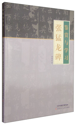 

鉴赏与学习张猛龙碑