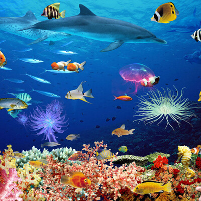 

Custom Photo Wallpaper 3D Underwater World Childrens Room Mural Wall Decorations Living Room Bed Room Modern Wall Paper Rolls