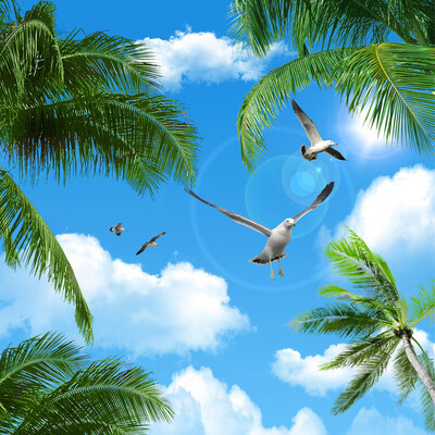 

Custom 3D Photo Wallpaper Blue Sky Sea Coconut Trees Seabirds Living Room Suspended Ceiling Non-woven Wall Mural Wallpaper 3D