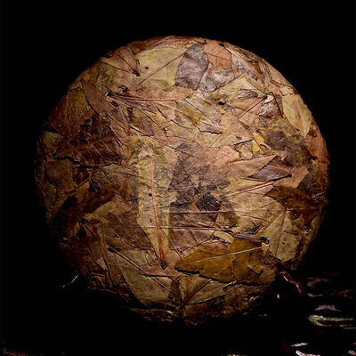 

Premium Aged Big Leaves Shou Mei Longevity Eyebrow White Tea Cake 2012 300g