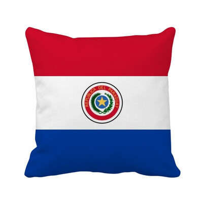 

Paraguay National Flag South America Country Square Throw Pillow Insert Cushion Cover Home Sofa Decor Gift