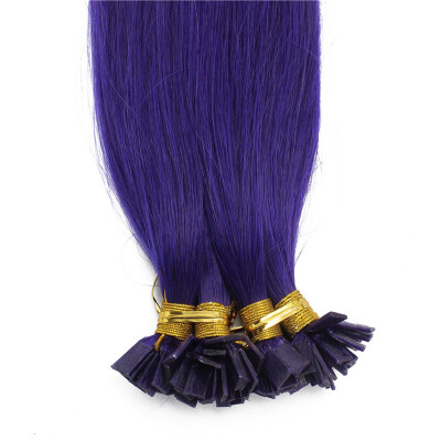 

1g/s 100g Human Remy Hair Purple Keratin Flat tip Hair Extensions