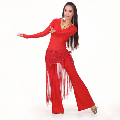 

2017 Belly Dance Costume Set Professional Top&Pants&Hip Scarf Indian Dress Lady Belly Dancing Dance Wear PracticePerformance