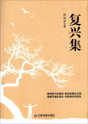 

复兴集