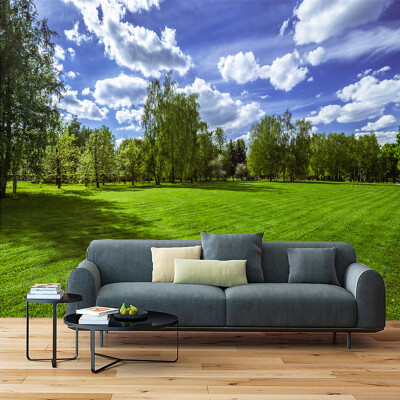 

Custom 3D Photo Wallpaper Blue Sky White Clouds Green Grassland Nature Landscape Mural Wall Painting Living Room Decor Wallpaper