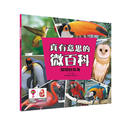 

真有意思的微百科：翱翔的鸟类