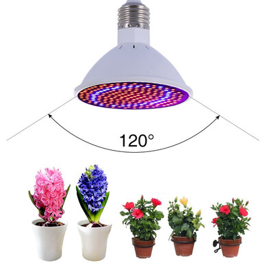 

LED Grow Lights Bulb , 20W E27/E26 LED Grow Light Plant lights Bulb Greenhouse Plant lights Seedling Light 166 Red 34 Blue for Gar