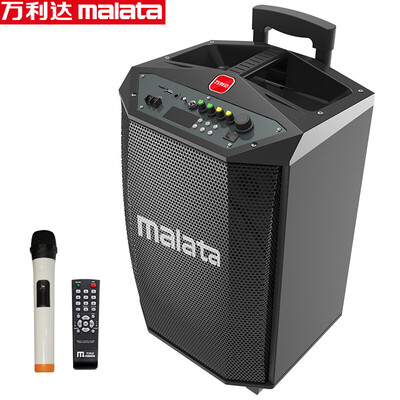 

Malata L8 Outdoor Sound Square Танцующий штырь Звук Мощность Высокоскоростной беспроводной Bluetooth K Караоке Звук Черный
