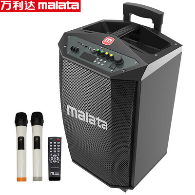 

Malata L12 outdoor audio square dance rod audio high power fast wireless Bluetooth karaoke audio black