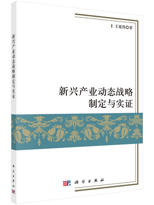 

新兴产业动态战略制定与实证