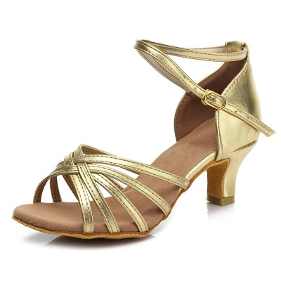 

Multi-Color High Quality Latin Dance Shoes for WomenLadiesGirlsTango&Salsa