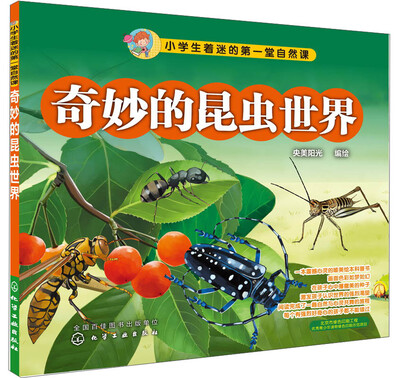 

小学生着迷的第一堂自然课：奇妙的昆虫世界